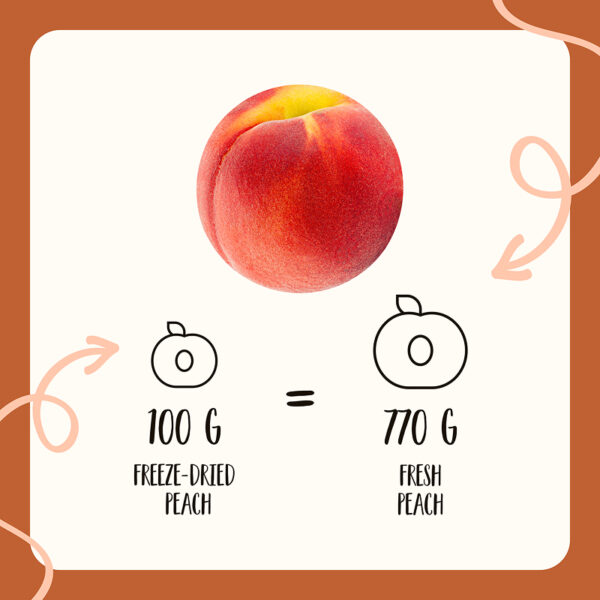 Freeze Dried Peach Cubes - Image 13
