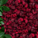 Freeze Dried Sour Cherry