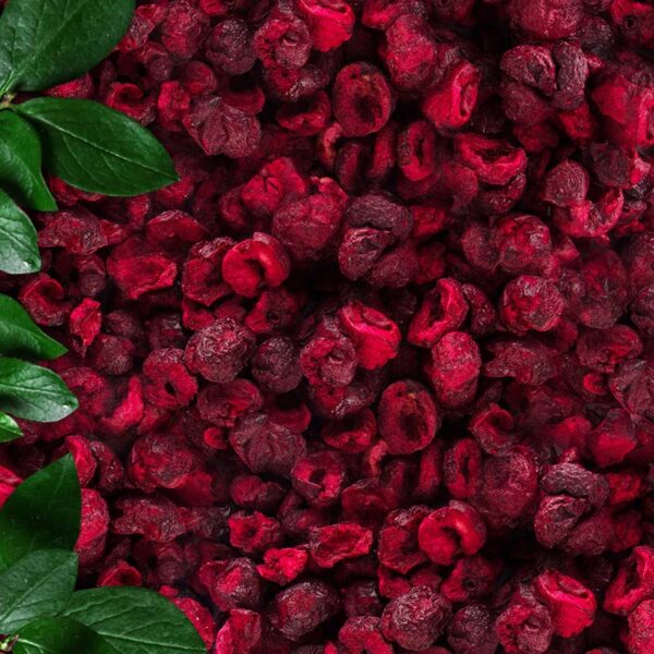 Freeze Dried Sour Cherry