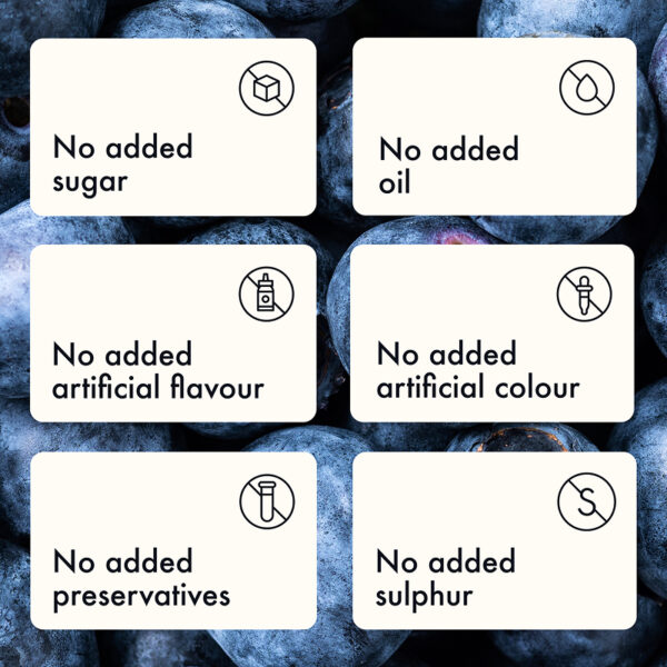 Freeze Dried Organic Wild Blueberry Powder - Image 11