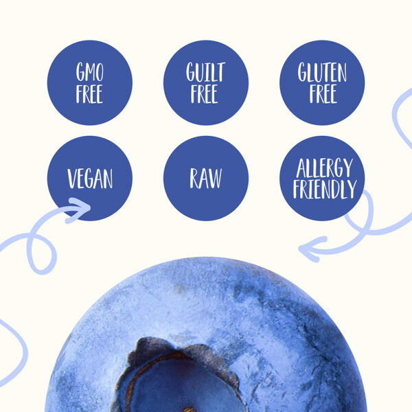Freeze Dried Organic Wild Blueberry Powder - Image 10
