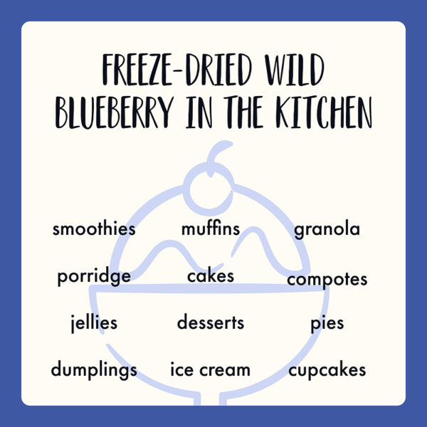 Freeze Dried Organic Wild Blueberry Powder - Image 9