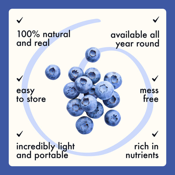 Freeze Dried Organic Wild Blueberry Powder - Image 7