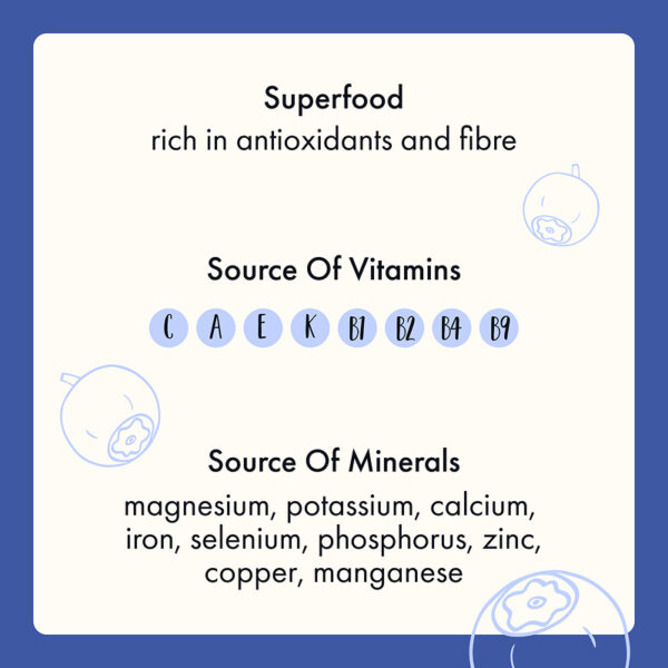 Freeze Dried Organic Wild Blueberry Powder - Image 6