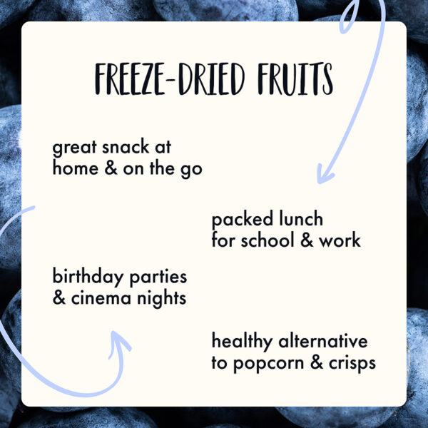 Freeze Dried Organic Wild Blueberry Powder - Image 5