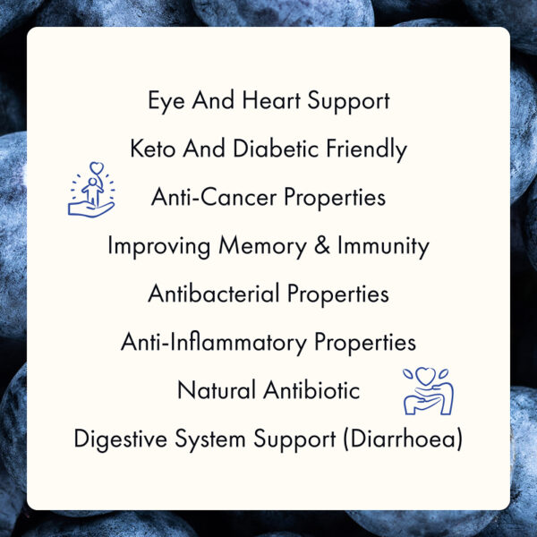 Freeze Dried Organic Wild Blueberry Powder - Image 4