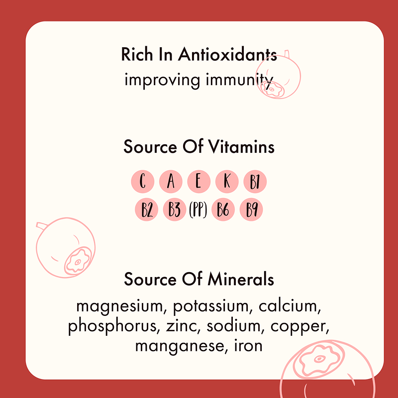 Freeze Dried Cranberry Half - Image 6