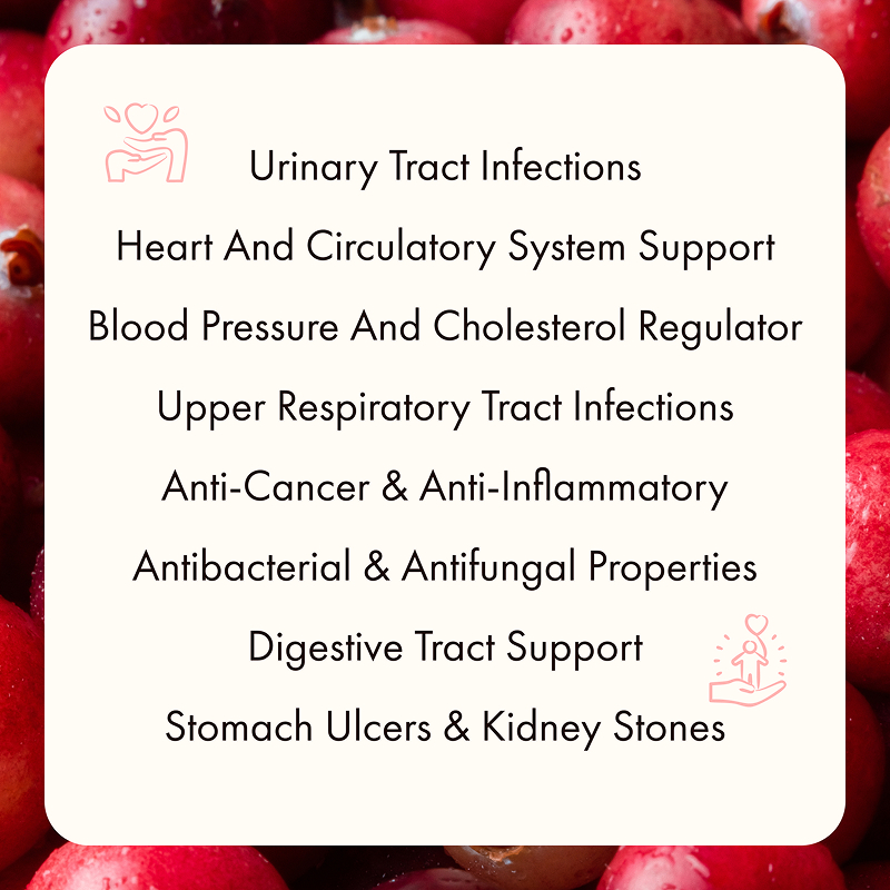 Freeze Dried Cranberry Half - Image 4