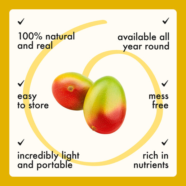 Freeze Dried Organic Mango Chunks - Image 9