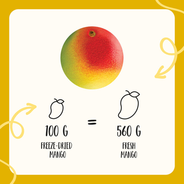 Freeze Dried Organic Mango Chunks - Image 7