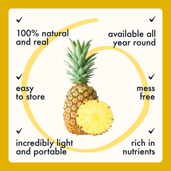 Freeze Dried Pineapple Chunks - Image 9