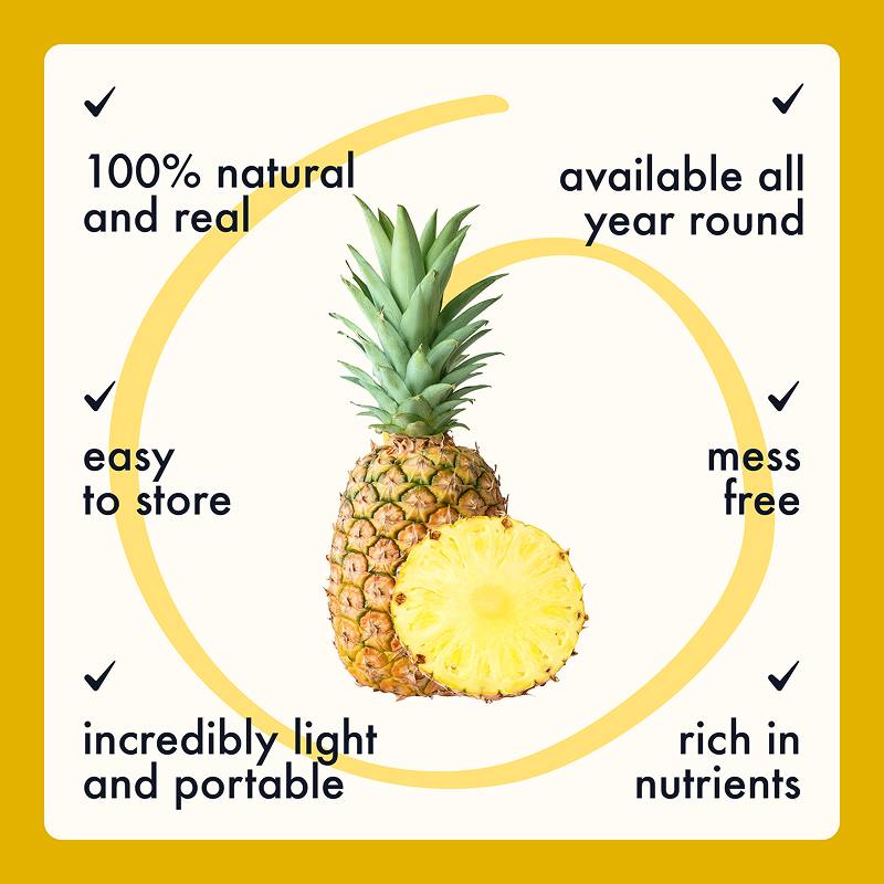 Freeze Dried Pineapple Chunks - Image 9