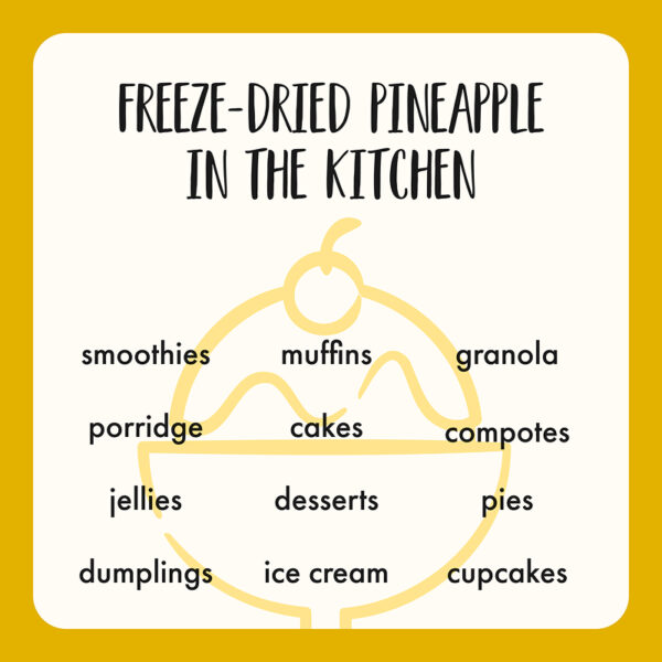 Freeze Dried Pineapple Chunks - Image 8