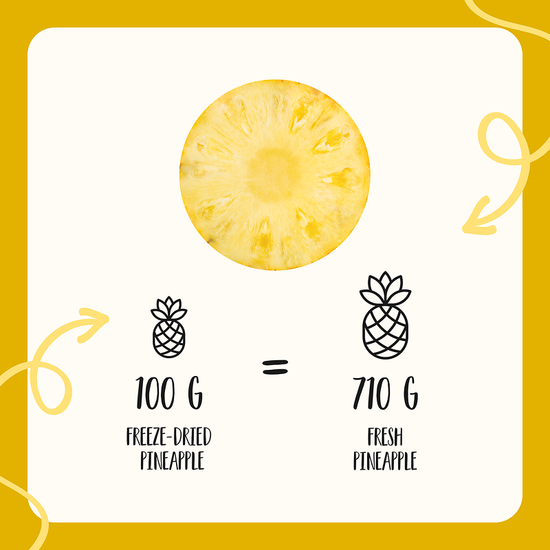 Freeze Dried Pineapple Chunks - Image 7