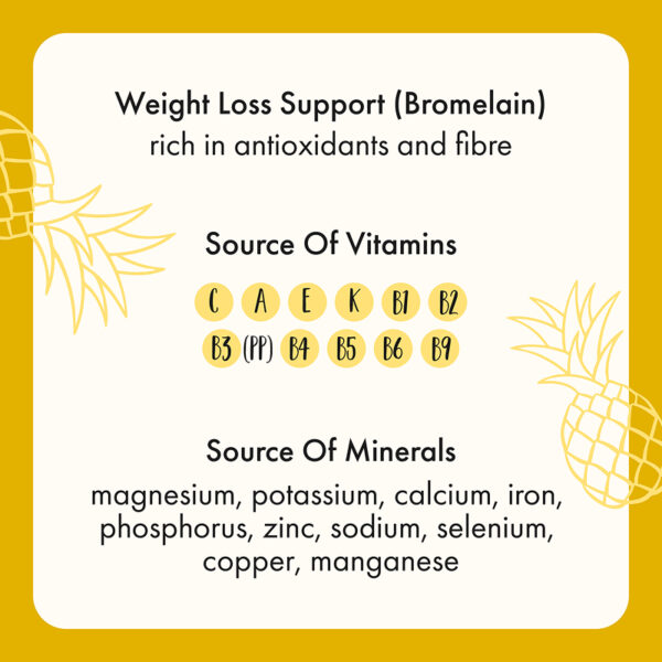 Freeze Dried Pineapple Chunks - Image 6