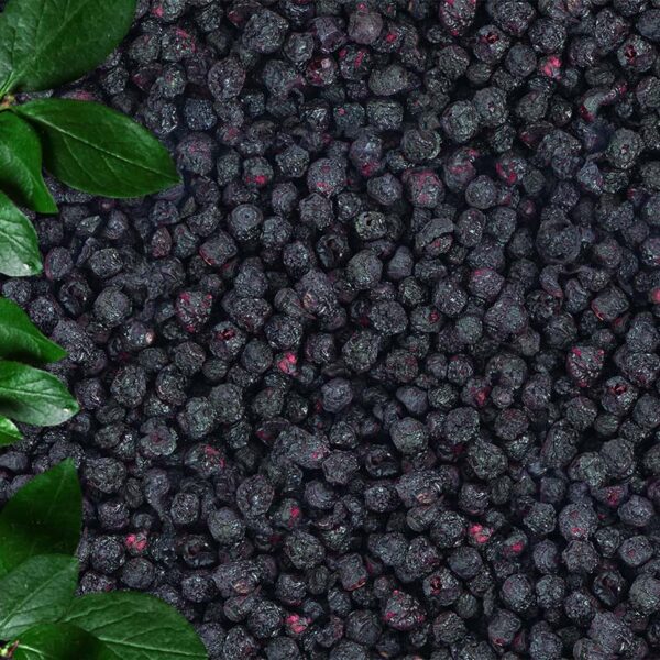 Freeze-dried Blueberry Whole